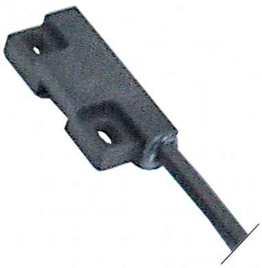 Magnetschalter L 37mm B 16mm 1NO 250V 0,2A 1_345600